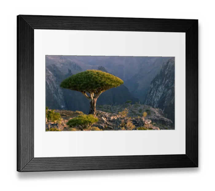 Framed Print : beauty in nature, cliff, color image, copy space, craggy, day, dixam plateau, dragon blood tree Framed Print : beauty in nature, cliff, color image, copy space, craggy, day, dixam plateau, dragon blood tree