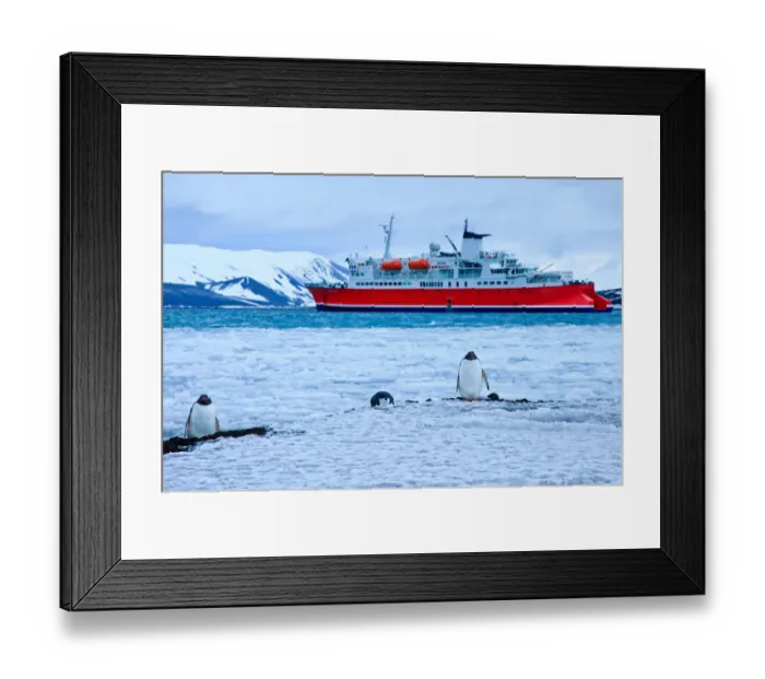Framed Print : Whalers Bay of Deception Island
