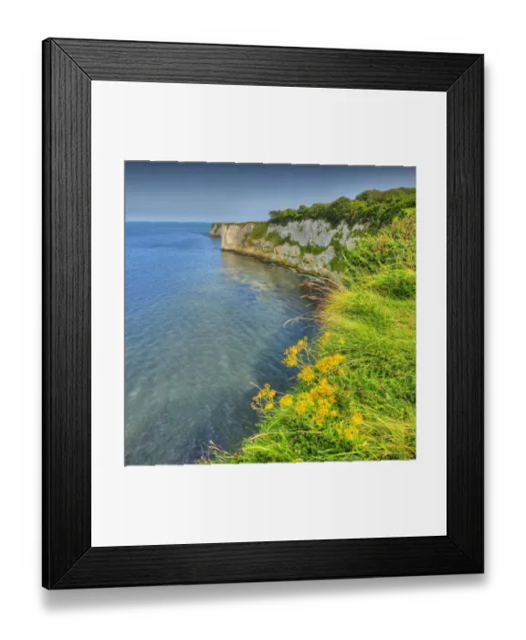 Framed Print : A view to Old Harry rocks, Jurassic coastline, Dorset, England, United Kingdom Framed Print : A view to Old Harry rocks, Jurassic coastline, Dorset, England, United Kingdom