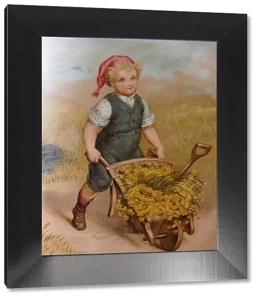 Blond boy pushing a wheelbarrow full with golden flowers