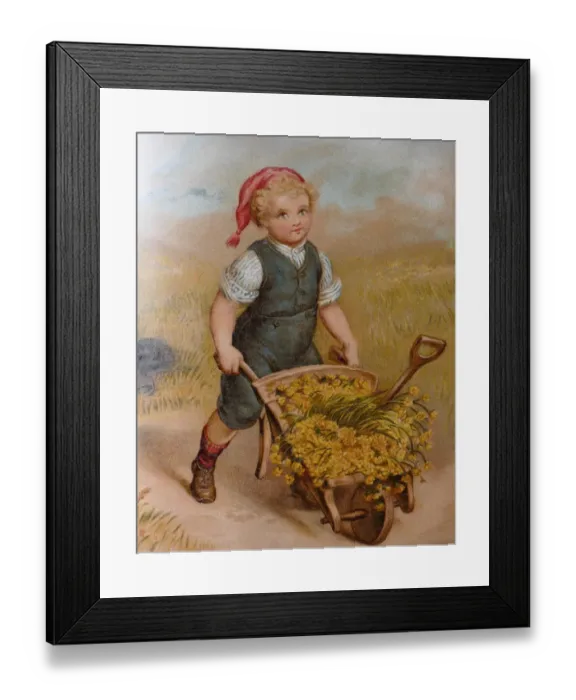 Framed Print : Blond boy pushing a wheelbarrow full with golden flowers Framed Print : Blond boy pushing a wheelbarrow full with golden flowers