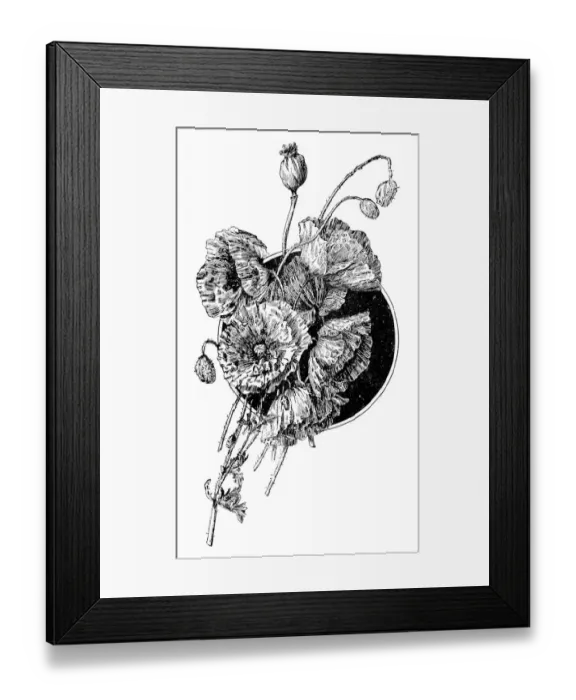 Framed Print : Antique childrens book comic illustration: poppy flowers Framed Print : Antique childrens book comic illustration: poppy flowers
