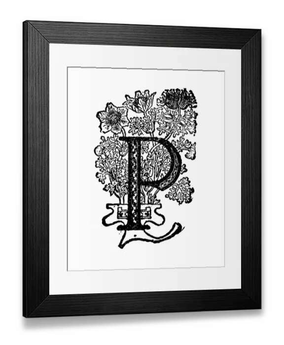Framed Print : Antique childrens book comic illustration: Ornate letter P Framed Print : Antique childrens book comic illustration: Ornate letter P
