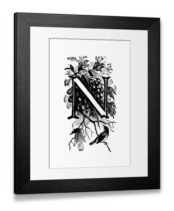 Framed Print : Antique childrens book comic illustration: Ornate letter N Framed Print : Antique childrens book comic illustration: Ornate letter N
