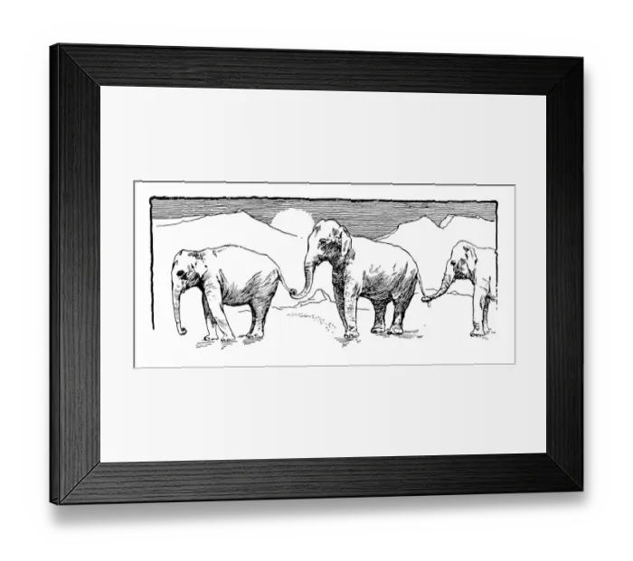 Framed Print : Antique childrens book comic illustration: elephants Framed Print : Antique childrens book comic illustration: elephants