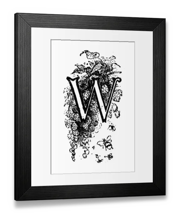 Framed Print : Antique childrens book comic illustration: Ornate letter W Framed Print : Antique childrens book comic illustration: Ornate letter W