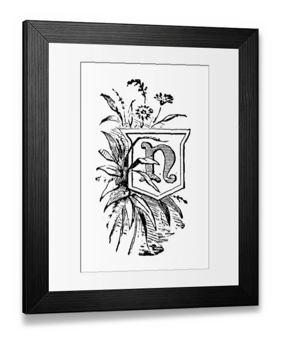 Framed Print : Antique childrens book comic illustration: Ornate letter N Framed Print : Antique childrens book comic illustration: Ornate letter N