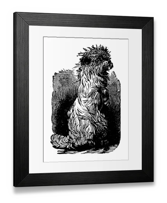 Framed Print : Antique childrens book comic illustration: dog