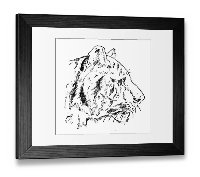 Framed Print : Antique childrens book comic illustration: Tiger profile Framed Print : Antique childrens book comic illustration: Tiger profile