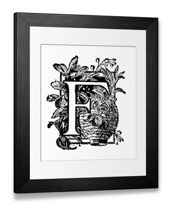 Framed Print : Antique childrens book comic illustration: Ornate letter F Framed Print : Antique childrens book comic illustration: Ornate letter F