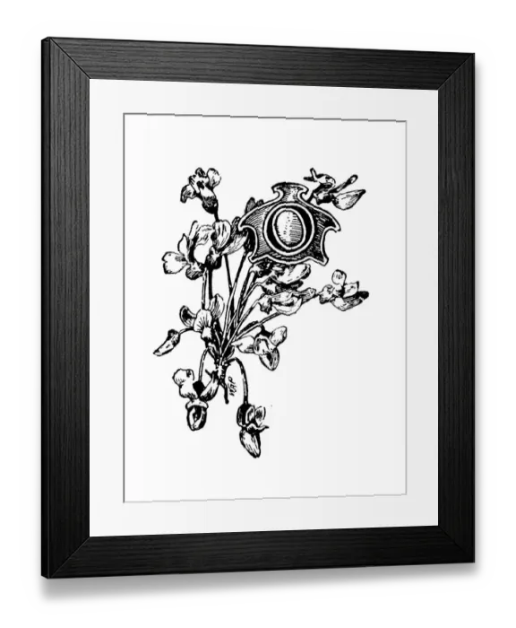 Framed Print : Antique childrens book comic illustration: Ornate letter O Framed Print : Antique childrens book comic illustration: Ornate letter O