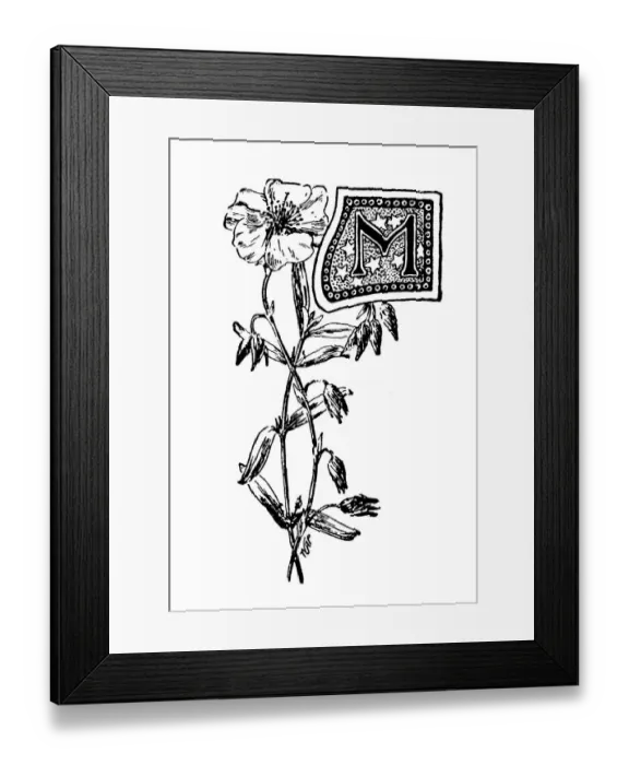 Framed Print : Antique childrens book comic illustration: Ornate letter M