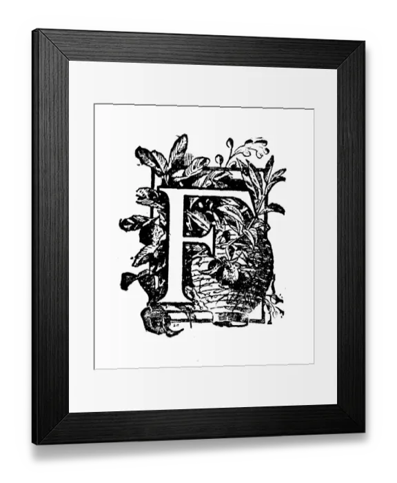 Framed Print : Antique childrens book comic illustration: Ornate letter F Framed Print : Antique childrens book comic illustration: Ornate letter F