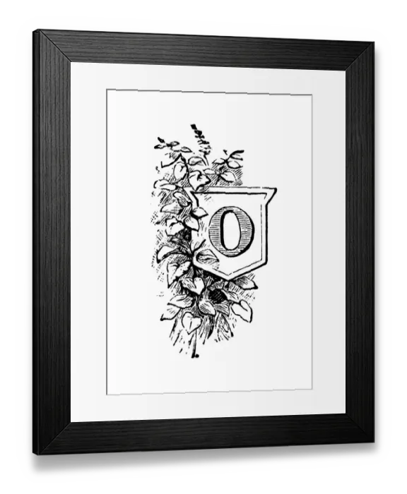 Framed Print : Antique childrens book comic illustration: Ornate letter O