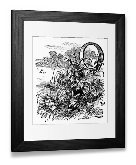 Framed Print : Antique childrens book comic illustration: Ornate letter O Framed Print : Antique childrens book comic illustration: Ornate letter O