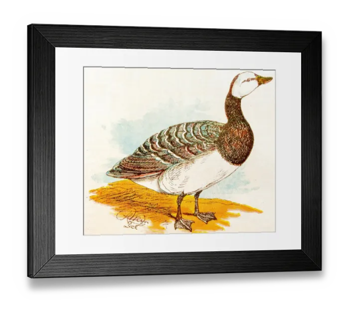 Framed Print : Antique children book illustrations: Goose Framed Print : Antique children book illustrations: Goose