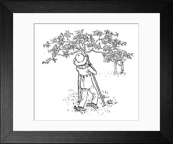 Framed Print : Antique children spelling book illustrations: Tree