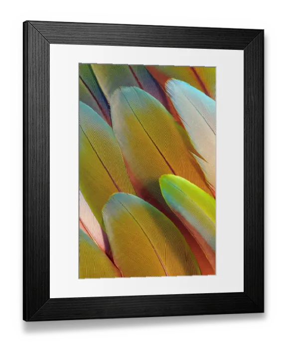 Framed Print : Issaquah, Washington State, USA Framed Print : Issaquah, Washington State, USA