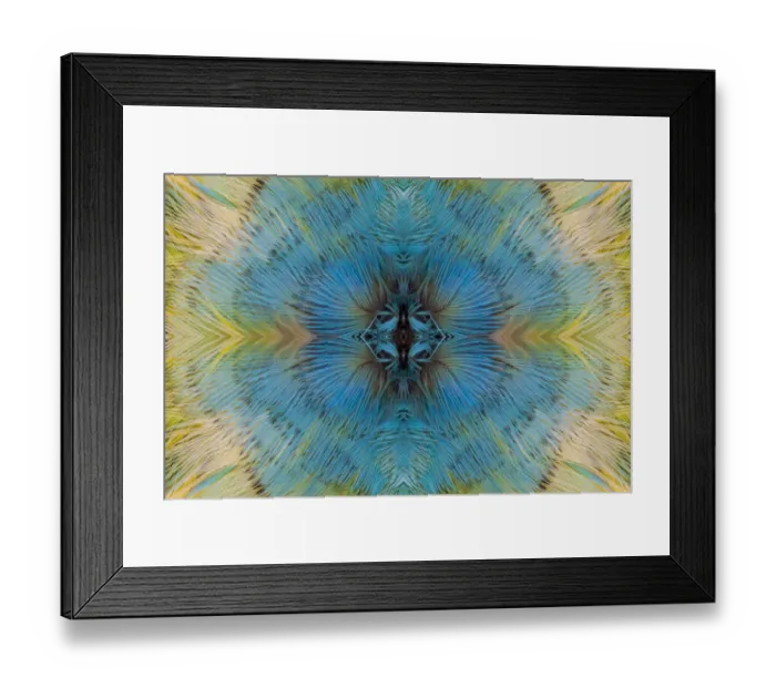 Framed Print : Feather kaleidoscope of Lilac Headed Parrot Framed Print : Feather kaleidoscope of Lilac Headed Parrot