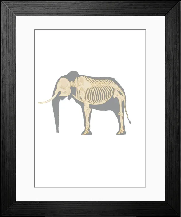 Framed Print : colour, grey, nobody, white Framed Print : colour, grey, nobody, white