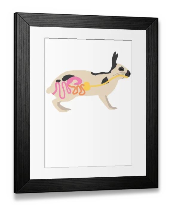 Framed Print : colour, digital illustration, nobody, pink, rabbit, white Framed Print : colour, digital illustration, nobody, pink, rabbit, white