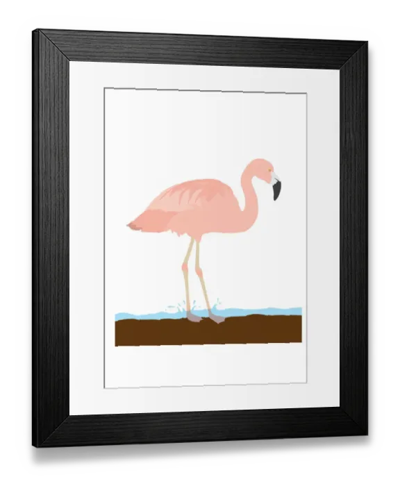 Framed Print : colour, nobody, pink, wildlife Framed Print : colour, nobody, pink, wildlife