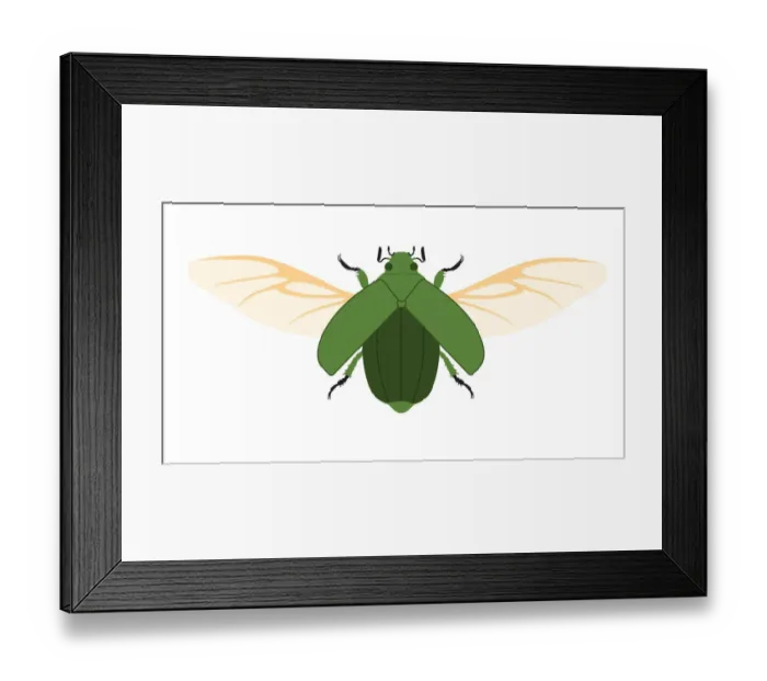 Framed Print : colour, green, nobody, wildlife Framed Print : colour, green, nobody, wildlife