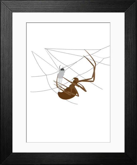 Framed Print : colour, grey, nobody, wildlife Framed Print : colour, grey, nobody, wildlife