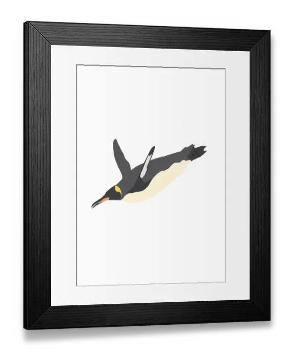 Framed Print : black, colour, grey, nobody, white, wildlife Framed Print : black, colour, grey, nobody, white, wildlife