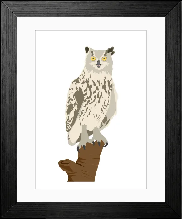 Framed Print : colour, grey, nobody, wildlife