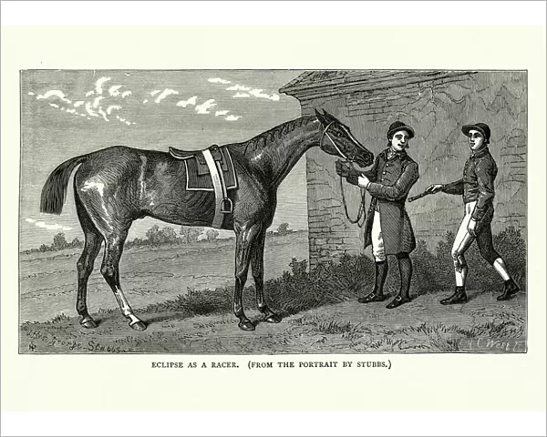 18th Century racehorse Eclipse