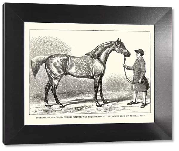 Gimcrack an English thoroughbred racehorse. 18th Century