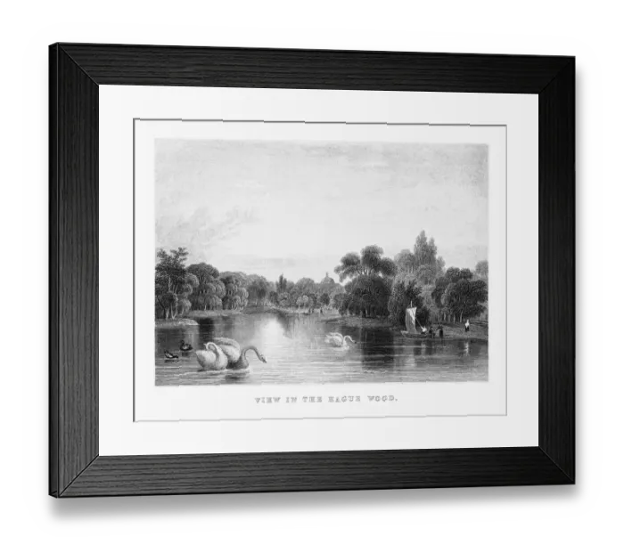 Framed Print : View in the Hague Wood Park in Rotterdam, Netherlands, Circa 1887