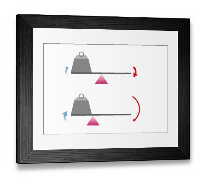 Framed Print : 298272 DKFindout website Framed Print : 298272 DKFindout website