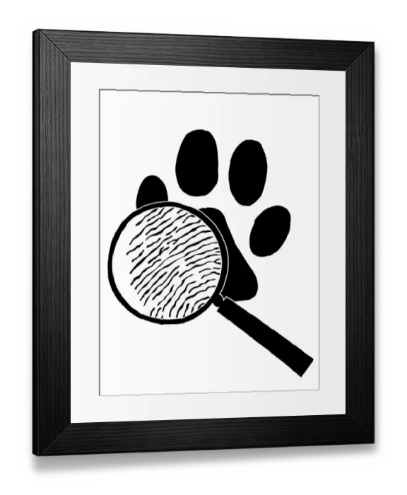 Framed Print : analysing, black and white, crime, criminal investigation, criminology, detective Framed Print : analysing, black and white, crime, criminal investigation, criminology, detective