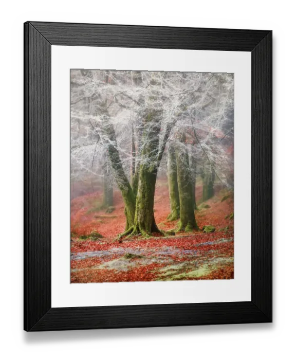 Framed Print : 2018 Into the Mystic 10 Framed Print : 2018 Into the Mystic 10