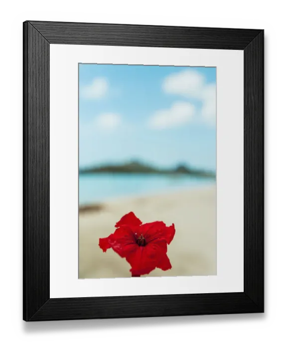 Framed Print : Jolly Beach Bay Antigua Framed Print : Jolly Beach Bay Antigua