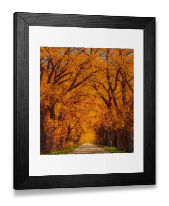 Framed Print : Weary Road
