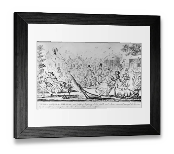 Framed Print : Zoo Mayhem Framed Print : Zoo Mayhem