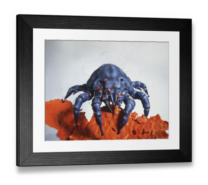 Framed Print : Acariformes, Acarina, Allergy, Animalia, Arachnida, Colour Background, Colour Image Framed Print : Acariformes, Acarina, Allergy, Animalia, Arachnida, Colour Background, Colour Image