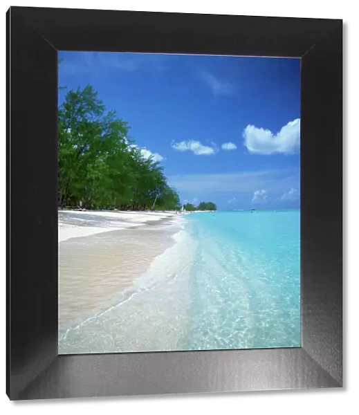 78366, 78366-022dg, Attraction, Beach, Beauty, Caribbean, Coastline, Day, Full-Color