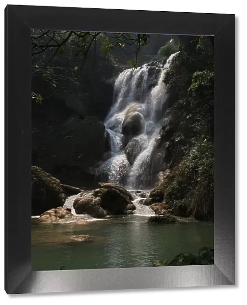 attraction, big, force of nature, jungle, luang prabang province, rain forest, tourist attractions