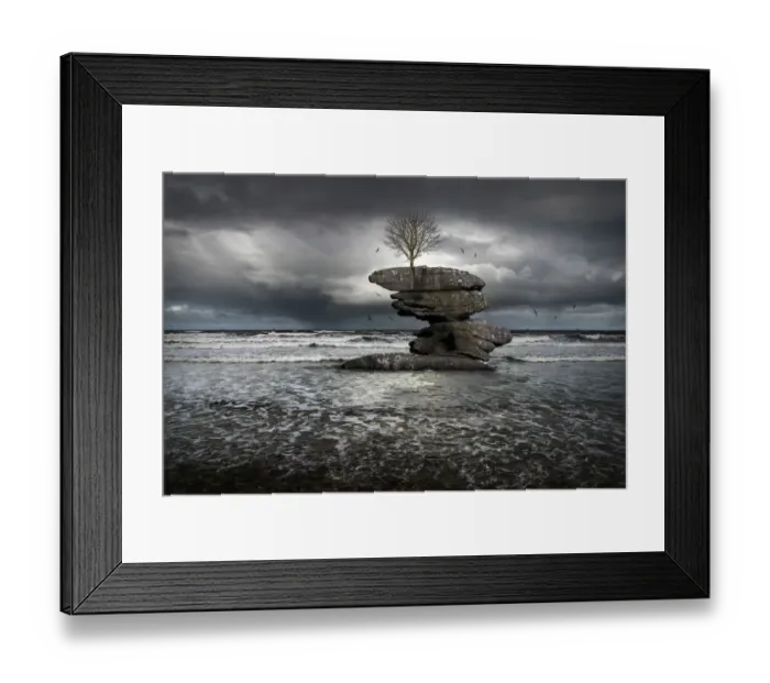 Framed Print : Tree on an island surrounded by the incoming tide Framed Print : Tree on an island surrounded by the incoming tide