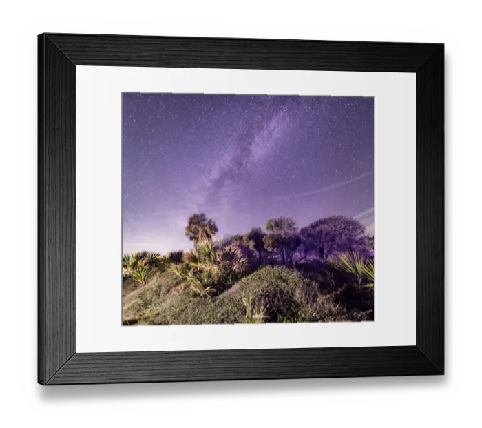 Framed Print : Welcome to the Jungle Framed Print : Welcome to the Jungle