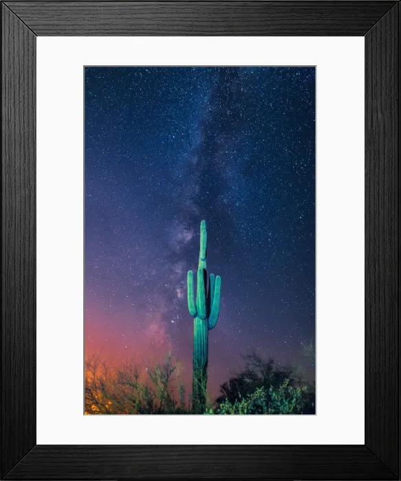 Framed Print : saguaro cactus and the milky way Framed Print : saguaro cactus and the milky way