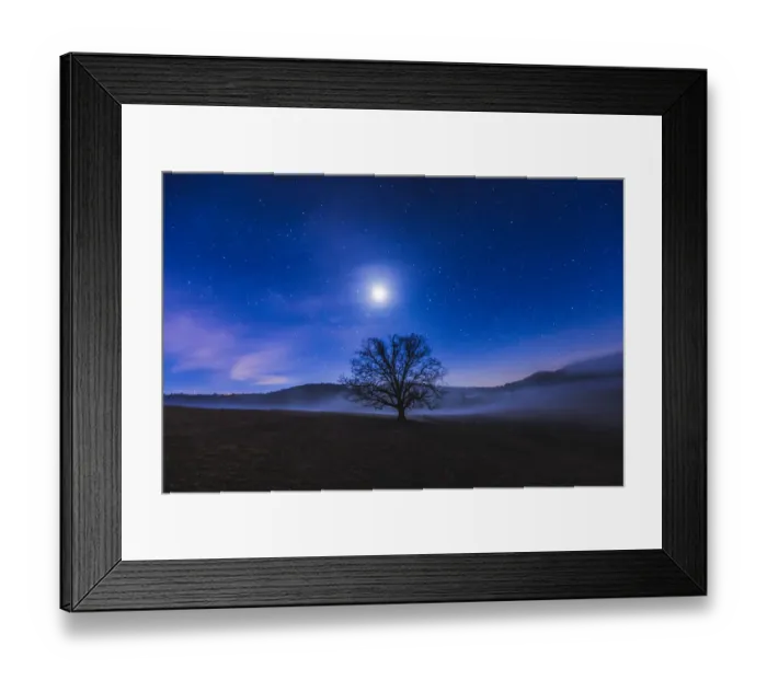 Framed Print : Living in a Dream Framed Print : Living in a Dream