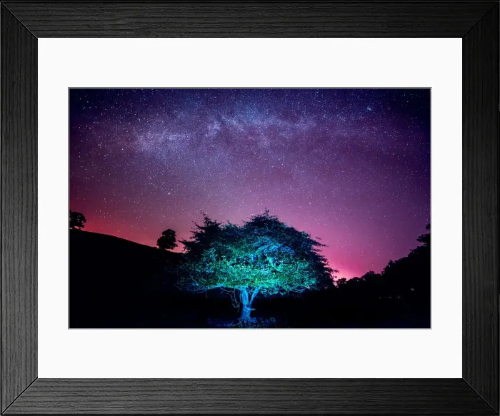 Framed Print : Wisdom tree Framed Print : Wisdom tree