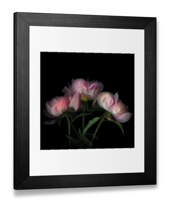 Framed Print : Reminders of summer... Pennies Framed Print : Reminders of summer... Pennies