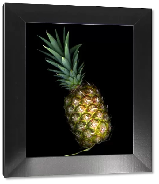 ANANAS. Pineapple on black background