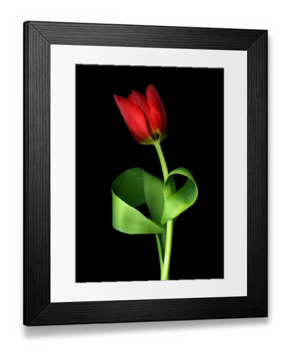 Framed Print : All of my love Framed Print : All of my love